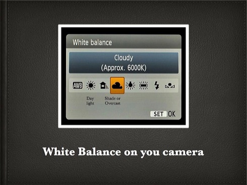 How to White Balance.004.jpg